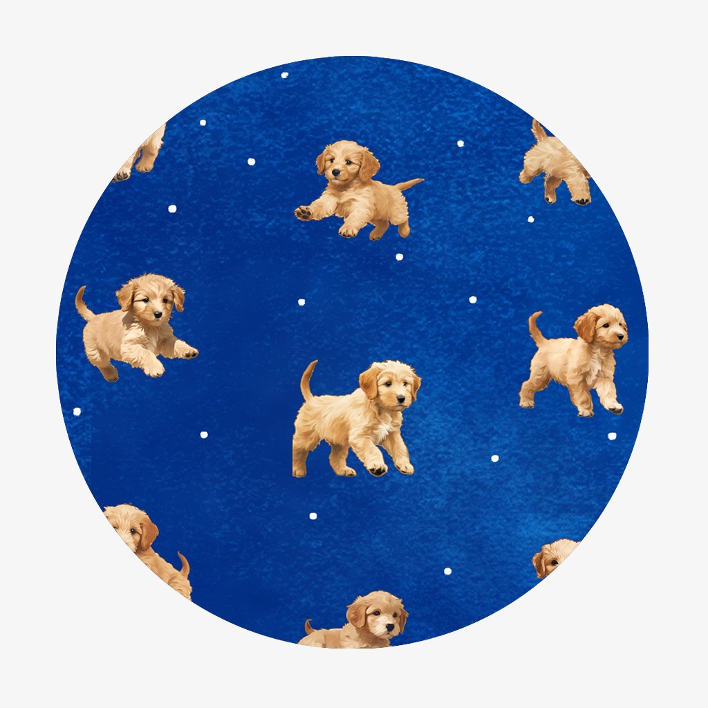 Golden Doodle Dreams in Blue