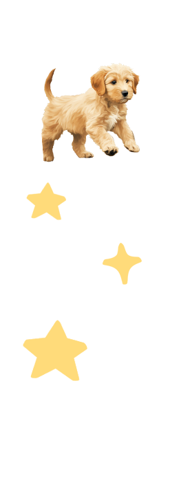 inspiration image