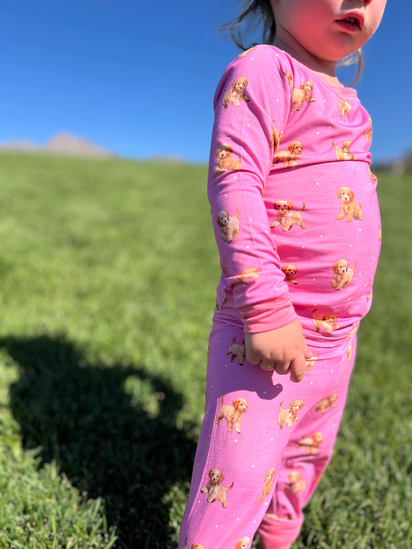 Golden Doodle Dreams in Pink